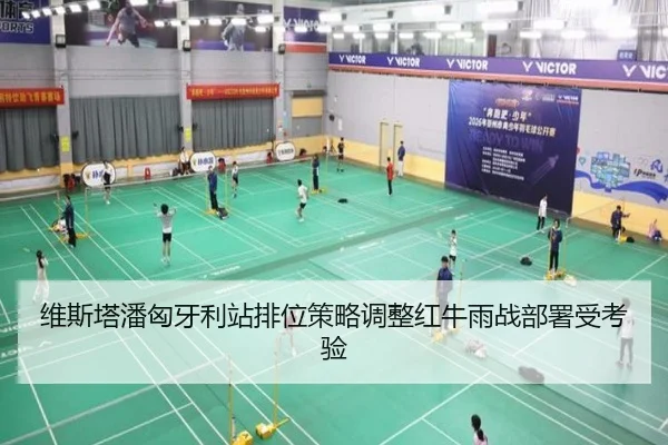 维斯塔潘匈牙利站排位策略调整红牛雨战部署受考验